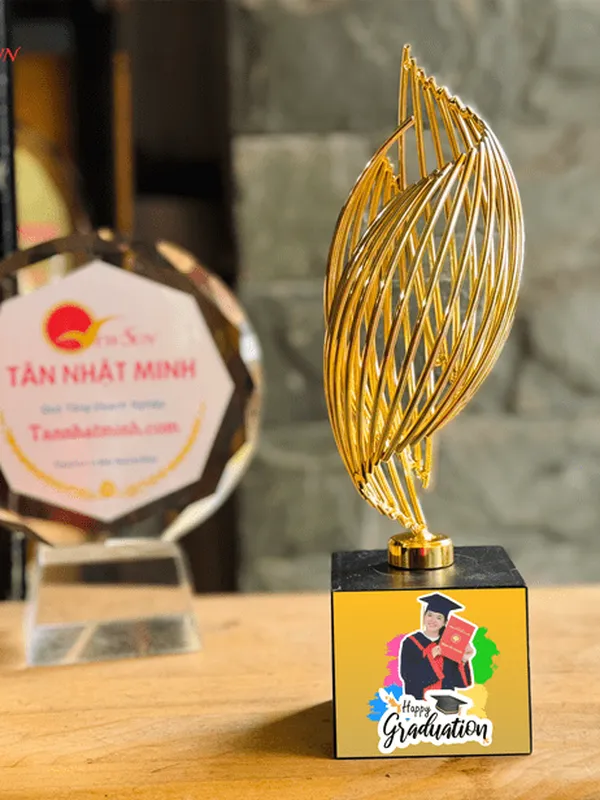 Cúp Vinh Danh, Lưu Niệm Mạ Vàng 29