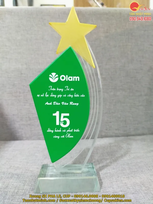 Kỷ niệm chương ngôi sao đẹp, vinh danh nhân viên 15 năm