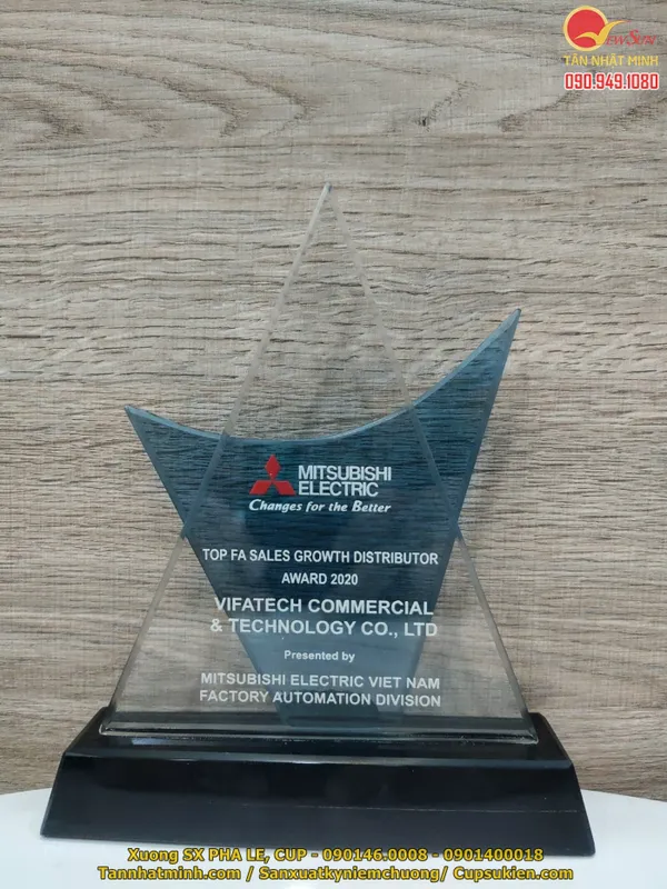 Mẫu kỷ niệm chương đẹp, cao cấp, nhập khẩu Giá bán lẻ -33