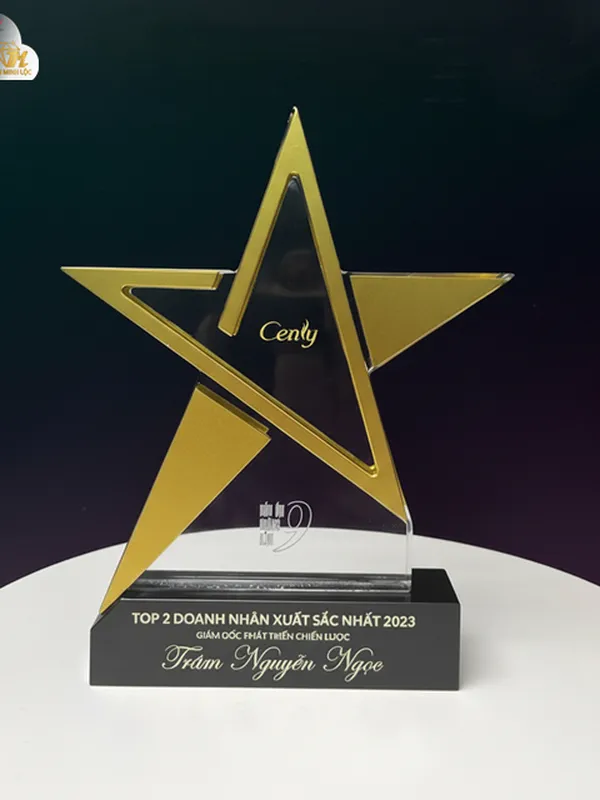 Kỷ niệm chương pha lê, Kỷ niệm chương kim loại ngôi sao