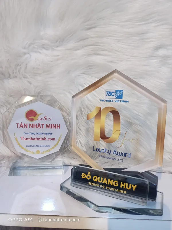 Kỷ niệm chương pha lê, Xưởng sản xuất pha lê, KỶ NIỆM 10 NĂM (44)