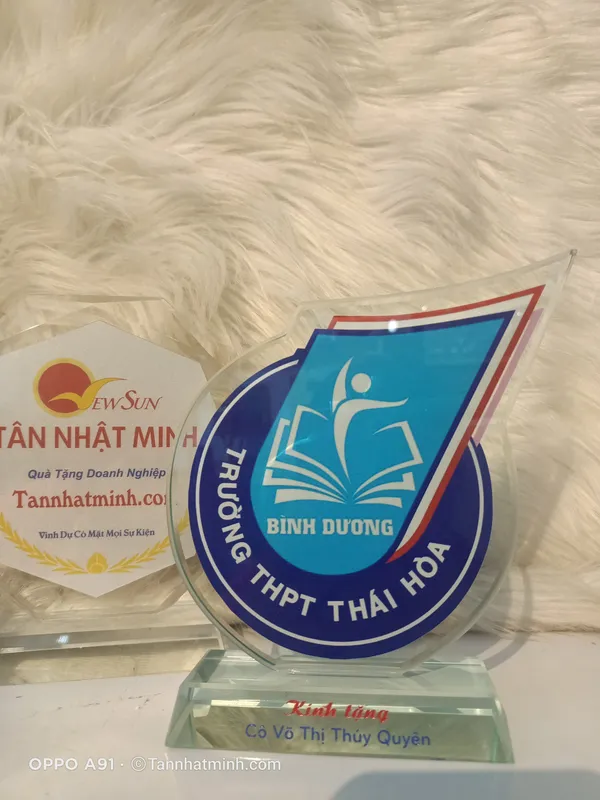 kỷ niệm chương thủy tinh giá siêu rẻ 17