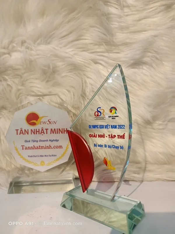 kỷ niệm chương thủy tinh giá siêu rẻ 14