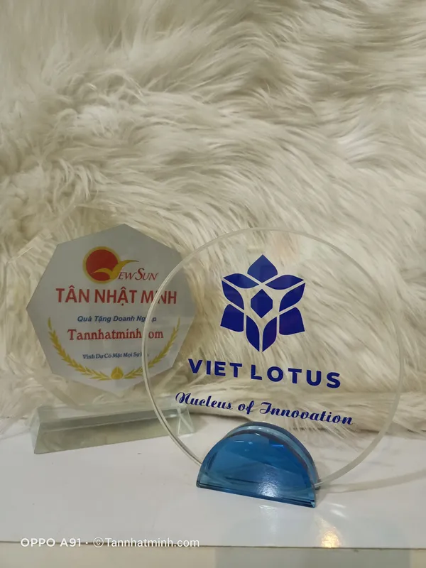 kỷ niệm chương thủy tinh giá siêu rẻ 21