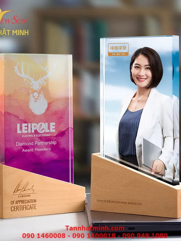 Cúp vinh danh, Cúp pha lê đẹp, Cao cấp -22