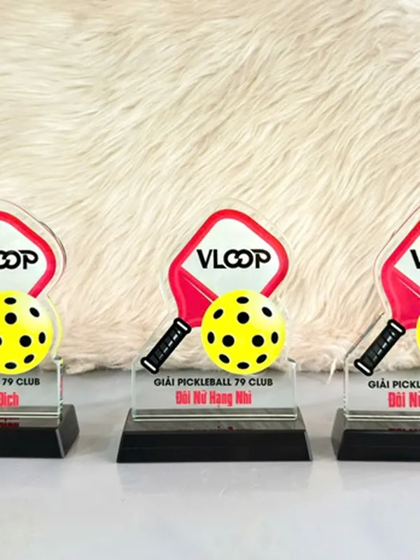 Kỷ Niệm Chương Pha lê Pickleball - Mẫu Đẹp Hot Trên Thị Trường (3)
