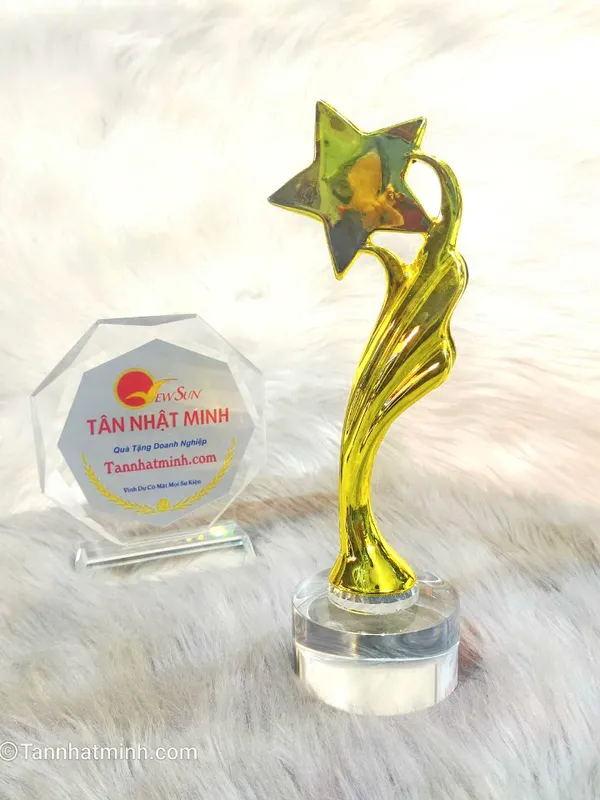 Cúp lưu niệm mạ vàng 21