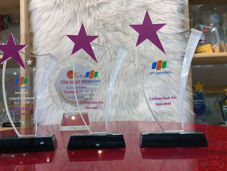 Cúp - Kỷ Niệm Chương Pha Lê - FPT