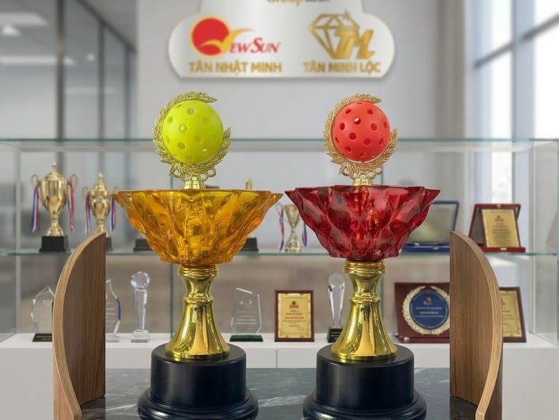 Top 10 Cúp Pickleball Đẹp – Biểu Tượng Vinh Quang Cho Mọi Giải Đấu