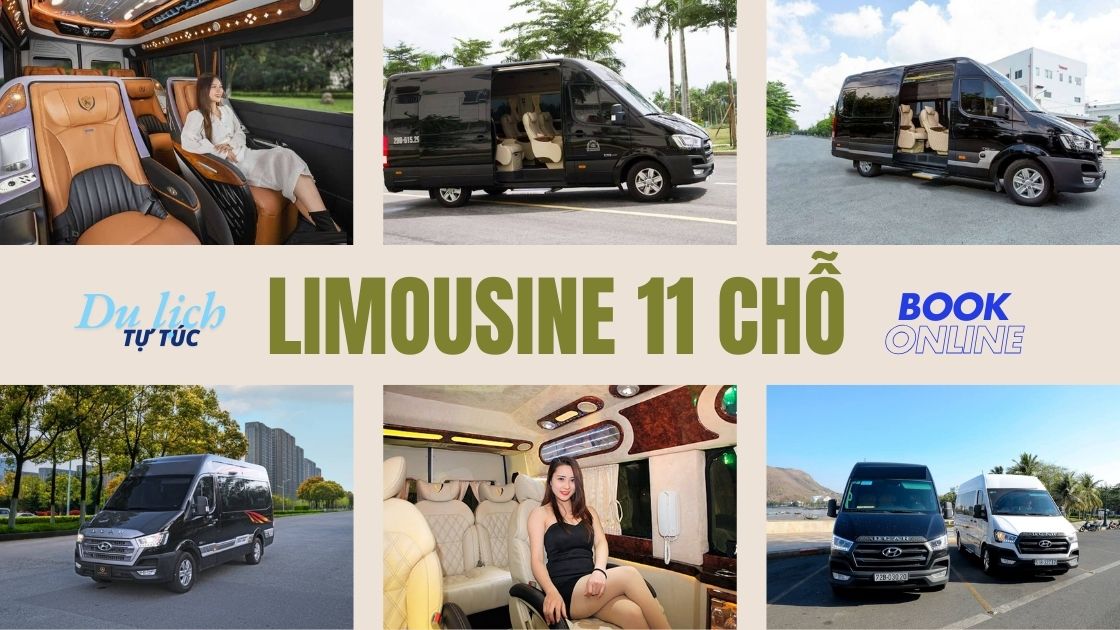 CAR RENTAL FROM HO CHI MINH CITY TO BAO LOC | REPUTABLE CAR SERVICE AT MY TAM TRAVEL