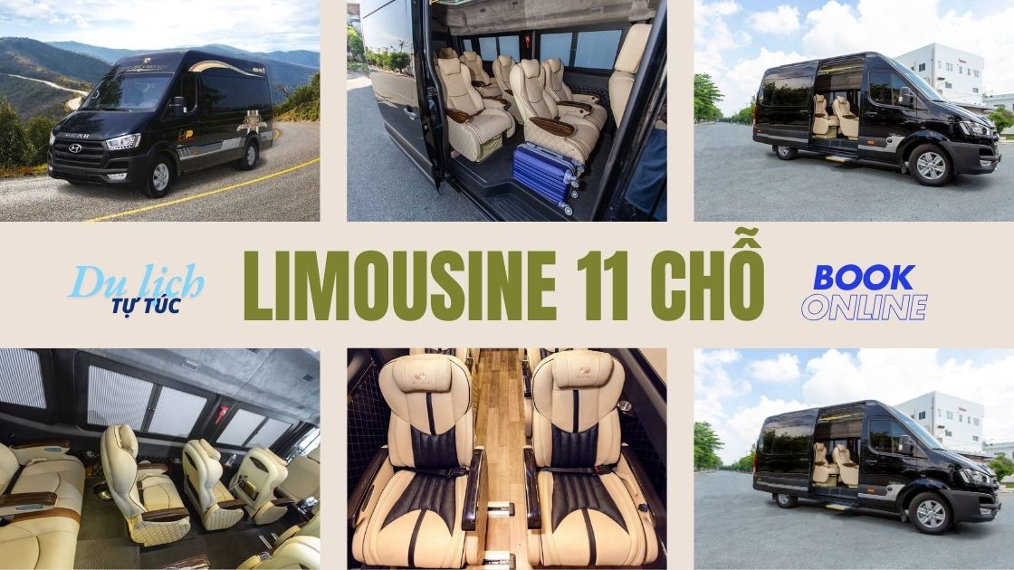 Car rental to Tan Phu Dong District 4-7-16-29-45-9-11-15-18C LIMOUSINE
