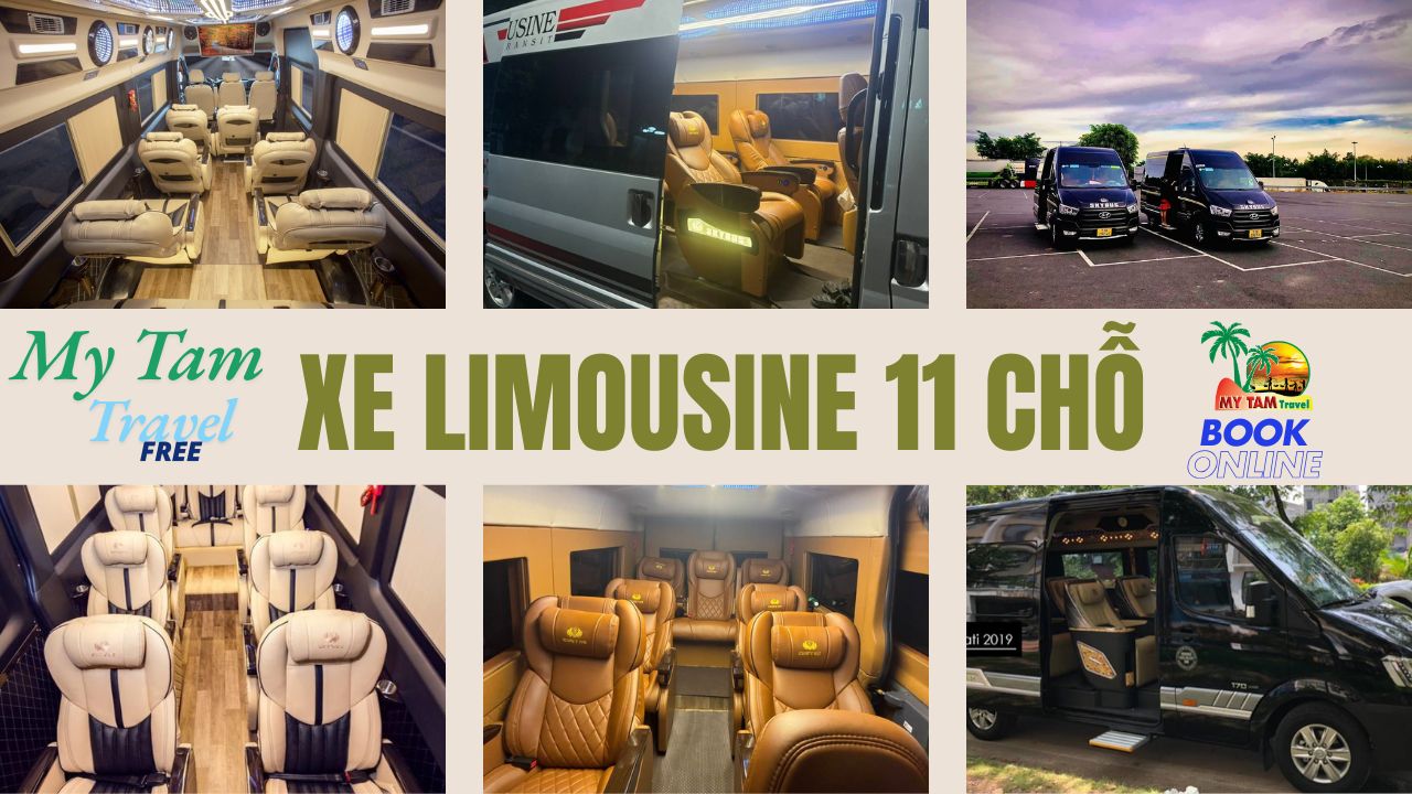 Rent a car to Cho Gao District 4-7-16-29-45-9-11-15C LIMOUSINE