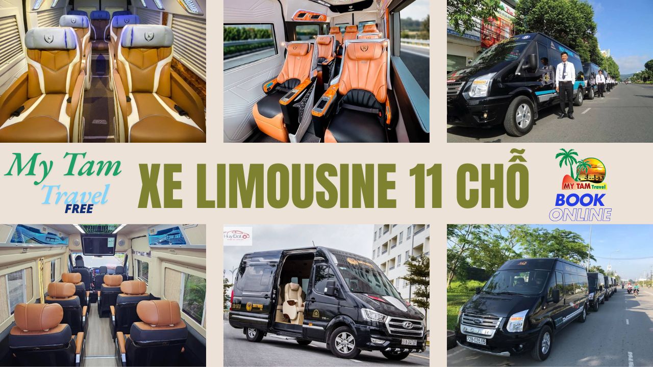 Car rental to Tan Phu Dong District 4-7-16-29-45-9-11-15-18C LIMOUSINE