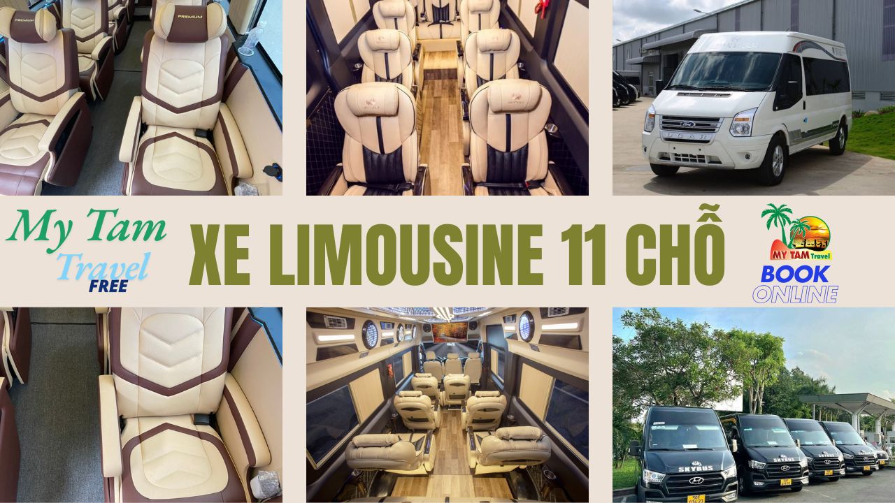 Car rental to Cai Be District 4-7-16-29-45-9-11-15-18 LIMOUSINE
