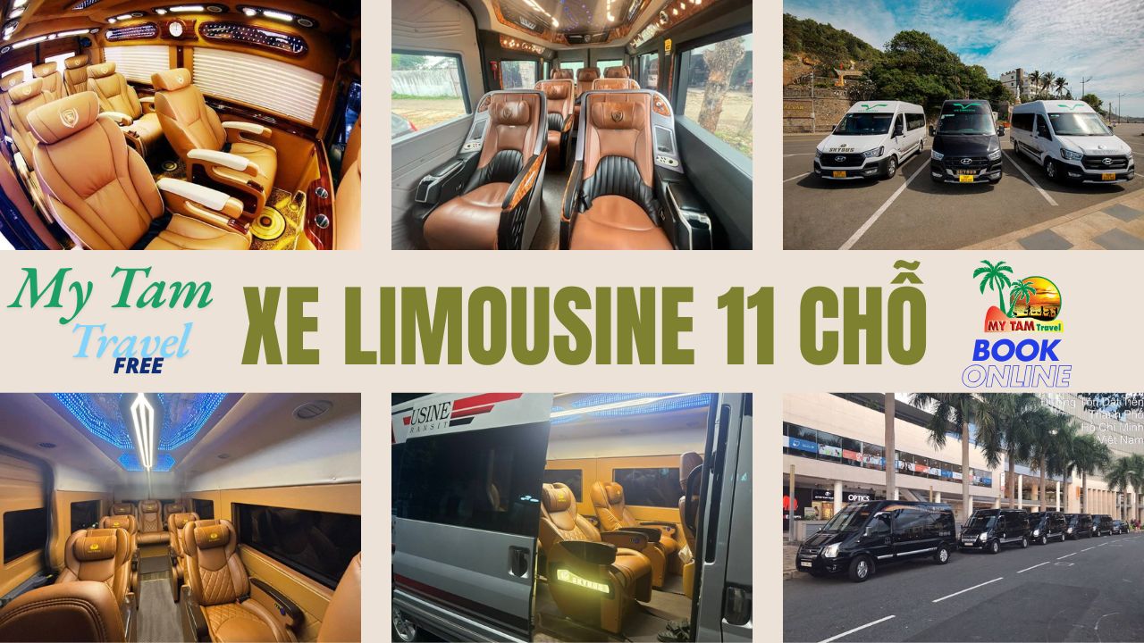 Car rental to Tan Phuoc District 4-7-16-29-45-9-11-11-15-18C LIMOUSINE
