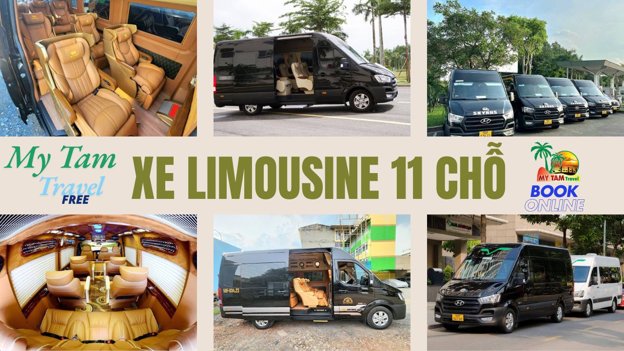 Rent a car from Ho Chi Minh to Tien Giang CHEAP PRICE - MY TAM TRAVEL