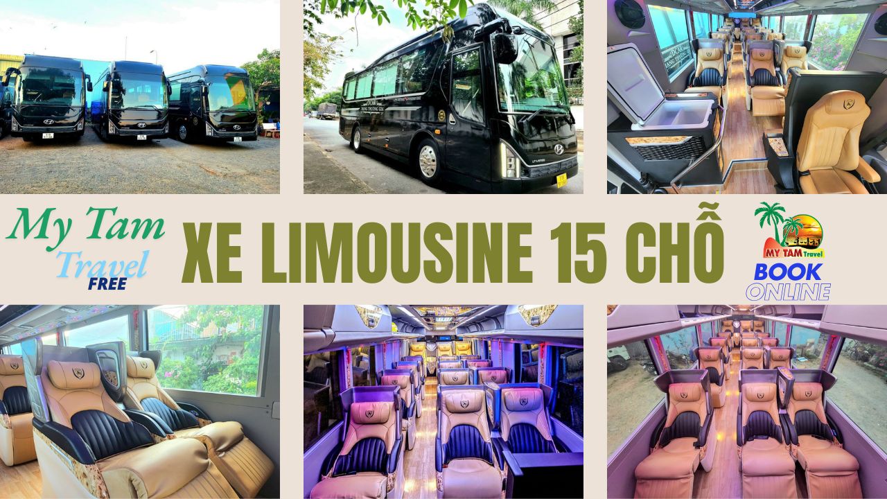 Car rental to Cai Lay District CHEAP PRICE 4-7-16-29-45 LIMO 9-11C MY TAM TRAVEL
