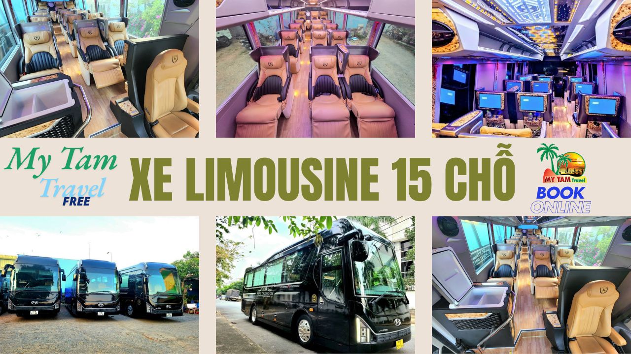 Car rental to Cai Be District 4-7-16-29-45-9-11-15-18 LIMOUSINE
