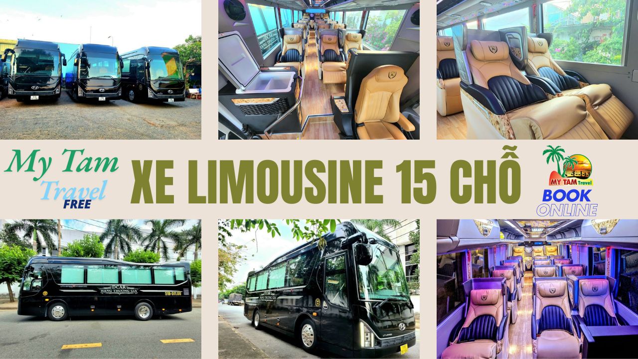 Car rental from Ho Chi Minh to Pleiku