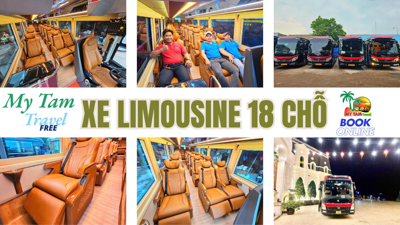 Car rental to Tan Phuoc District 4-7-16-29-45-9-11-11-15-18C LIMOUSINE