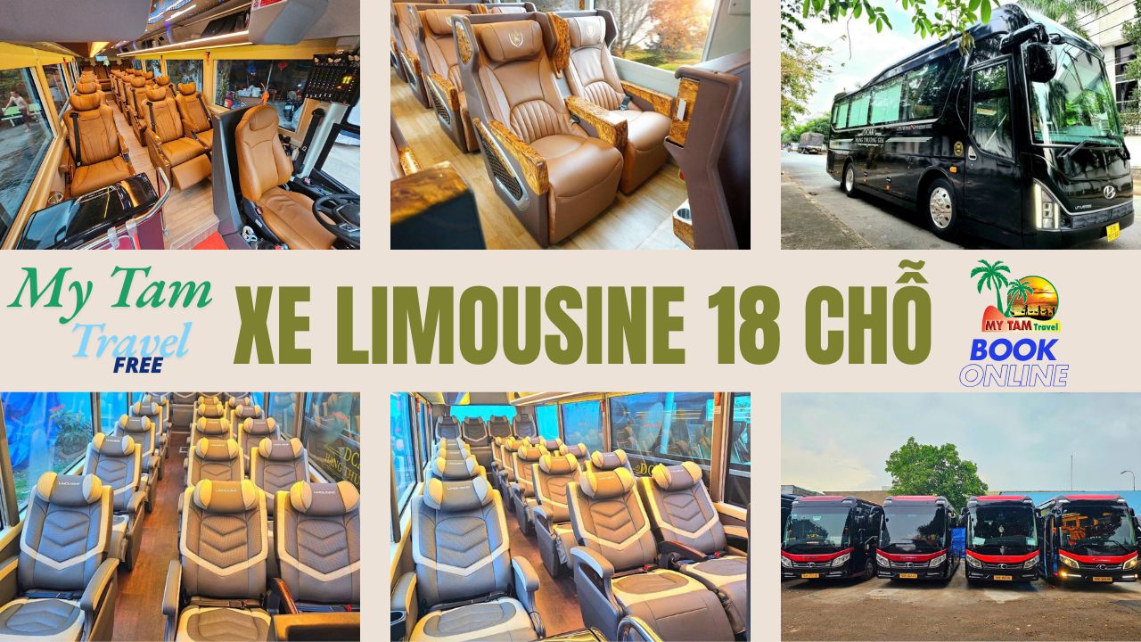 Car rental from Ho Chi Minh to Pleiku