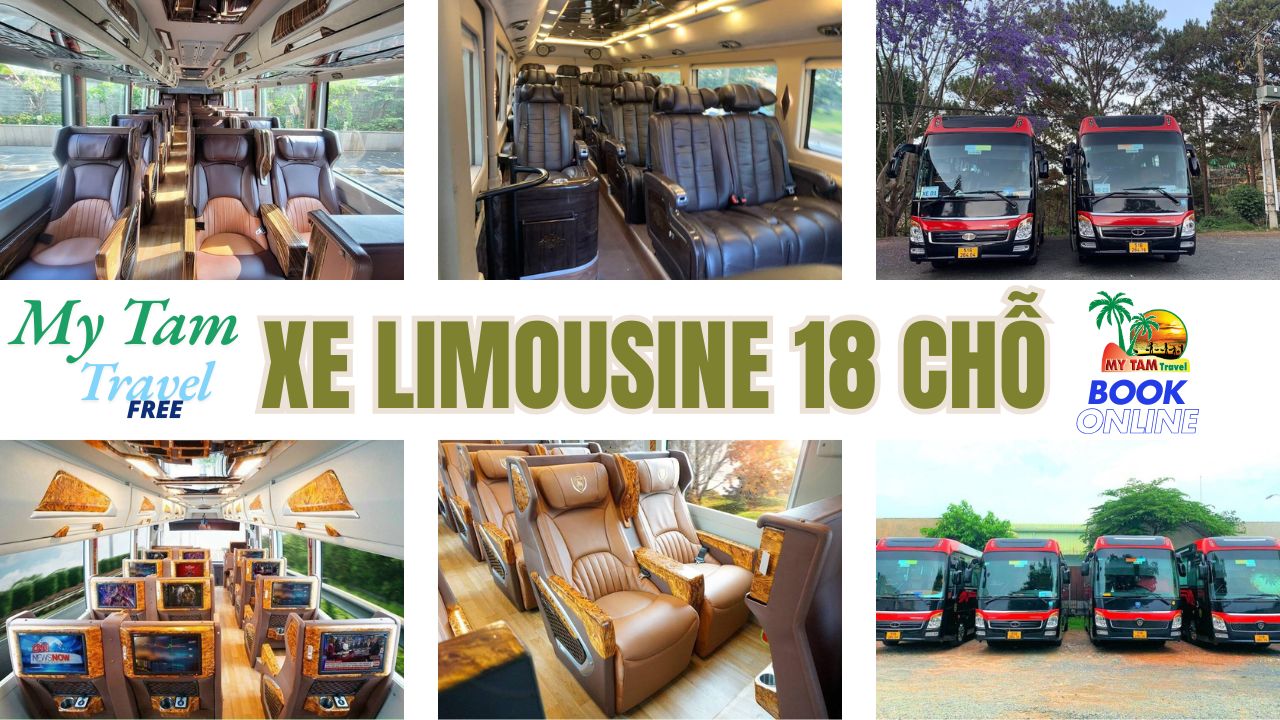 Car rental to Cai Lay District CHEAP PRICE 4-7-16-29-45 LIMO 9-11C MY TAM TRAVEL