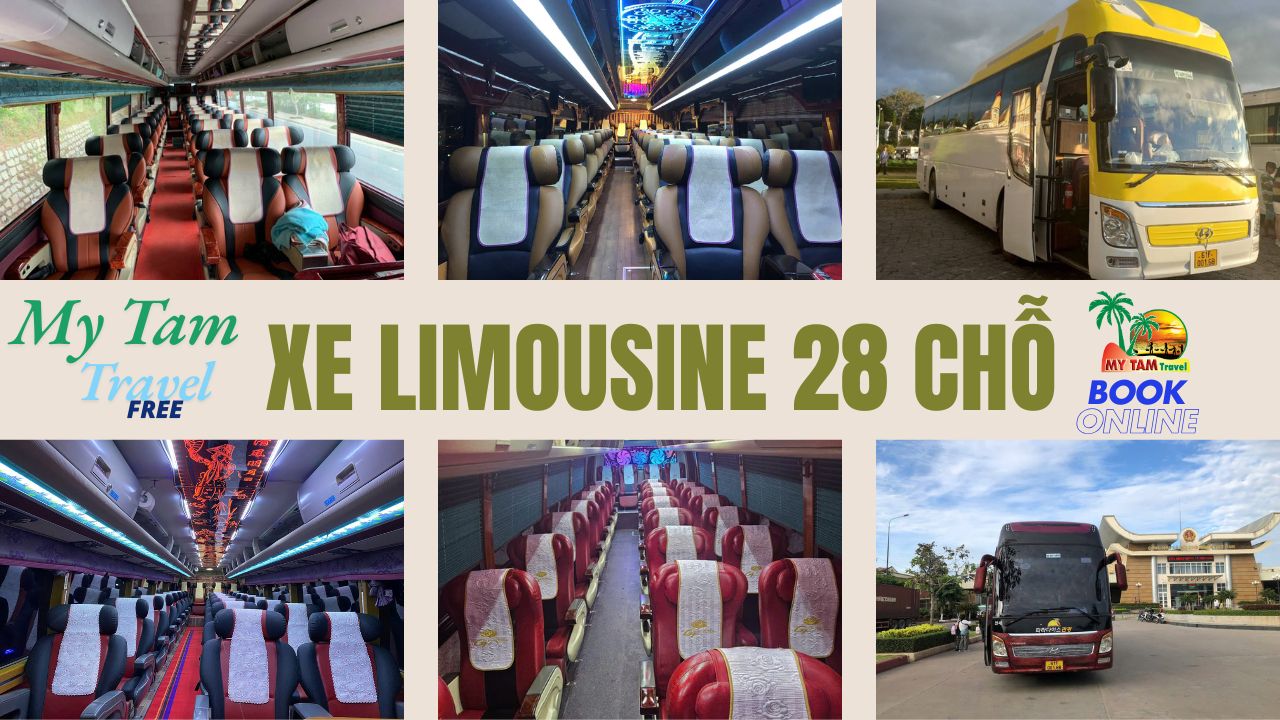 Car rental to Cai Be District 4-7-16-29-45-9-11-15-18 LIMOUSINE
