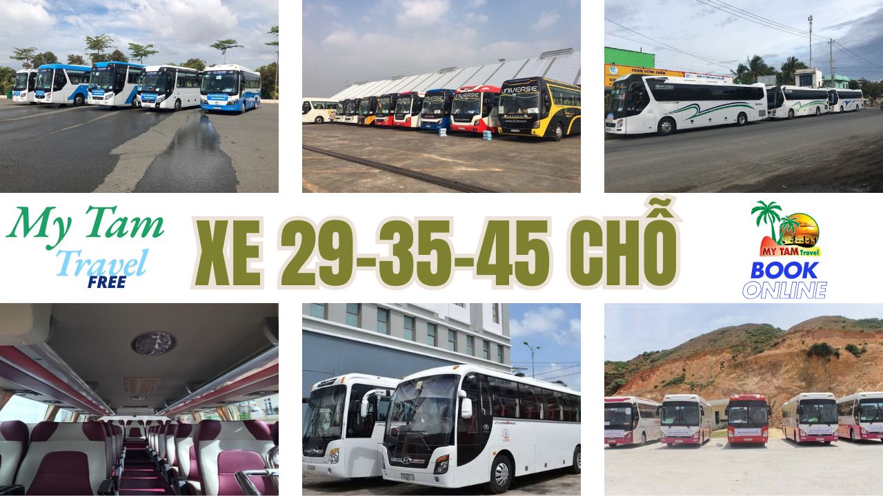Rent a car to Cho Gao District 4-7-16-29-45-9-11-15C LIMOUSINE