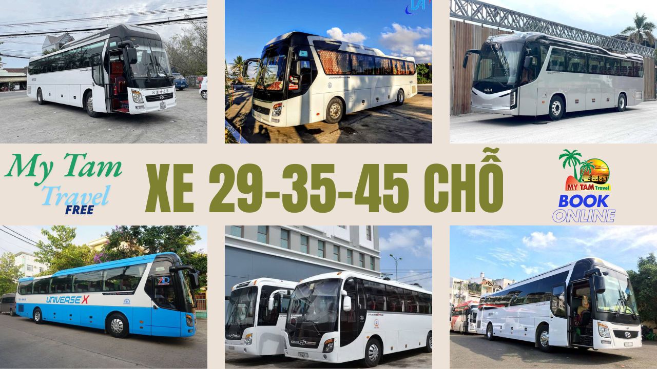 Car rental from Ho Chi Minh to Pleiku