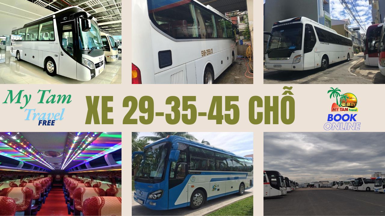 Car rental to Cai Lay District CHEAP PRICE 4-7-16-29-45 LIMO 9-11C MY TAM TRAVEL