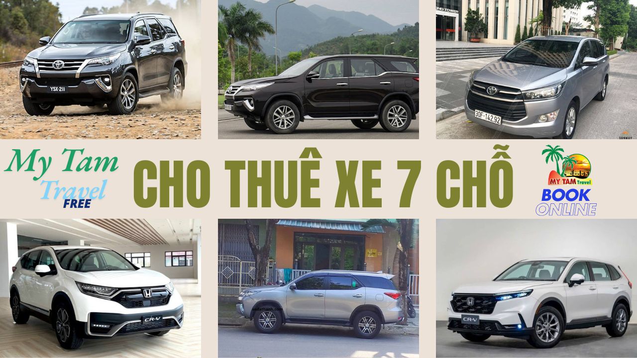 Car rental to Cai Lay District CHEAP PRICE 4-7-16-29-45 LIMO 9-11C MY TAM TRAVEL