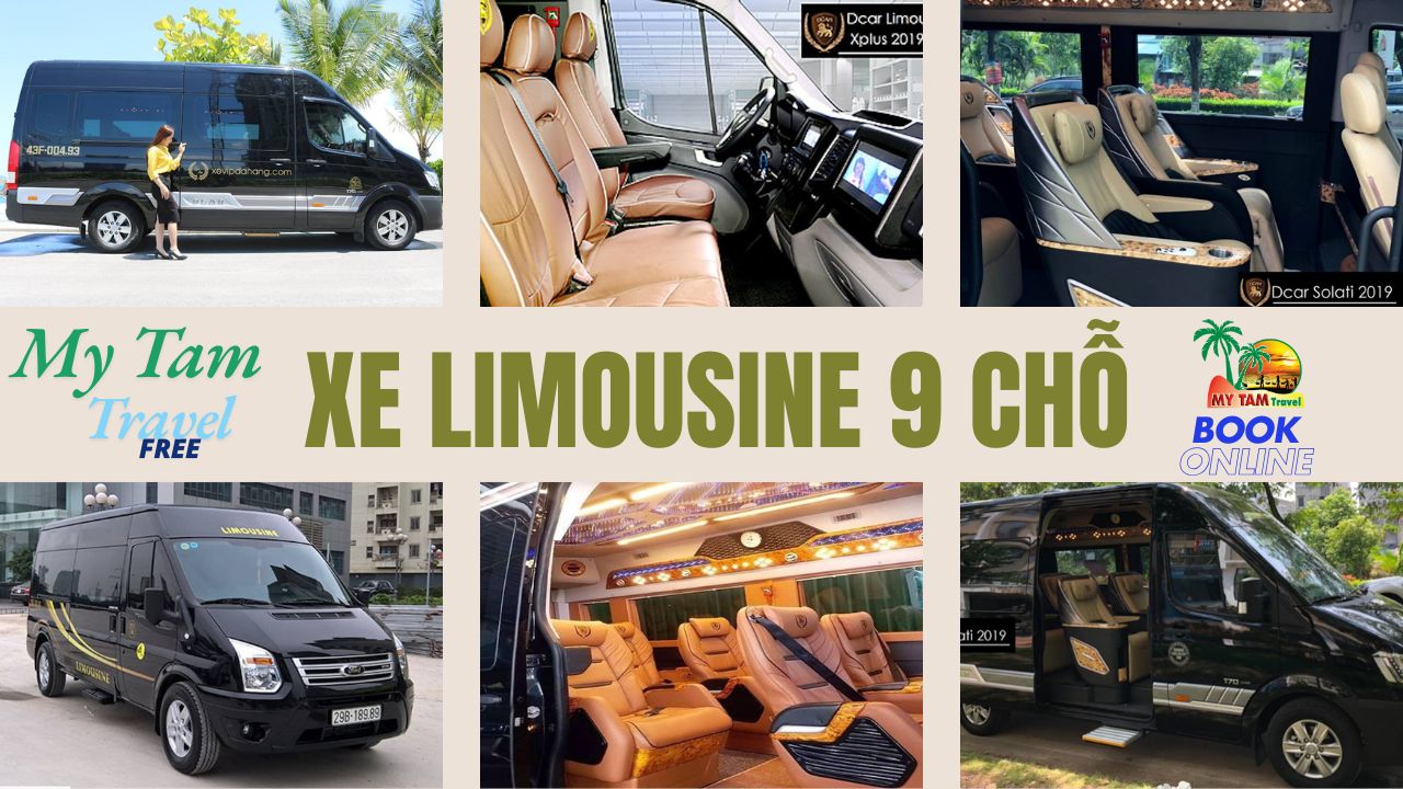 Rent a car to Go Cong Dong District 4-7-16-29-45-9-11-15C LIMOUSINE