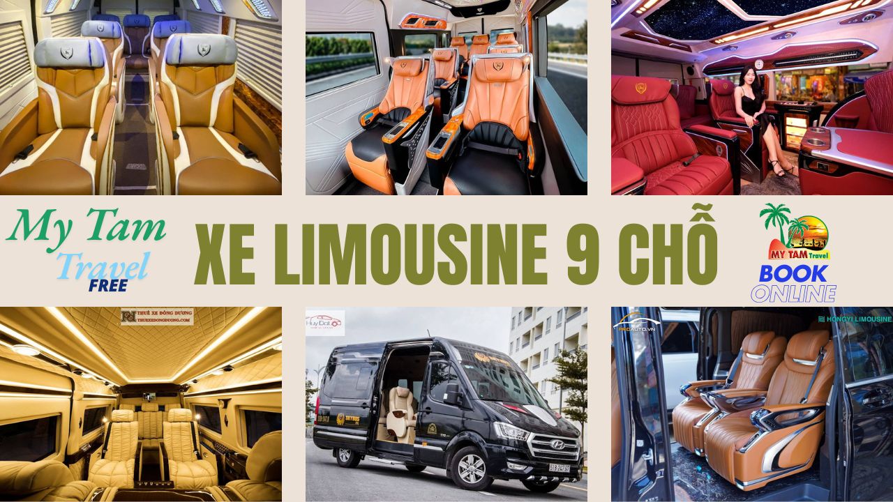 Rent a car to Cho Gao District 4-7-16-29-45-9-11-15C LIMOUSINE