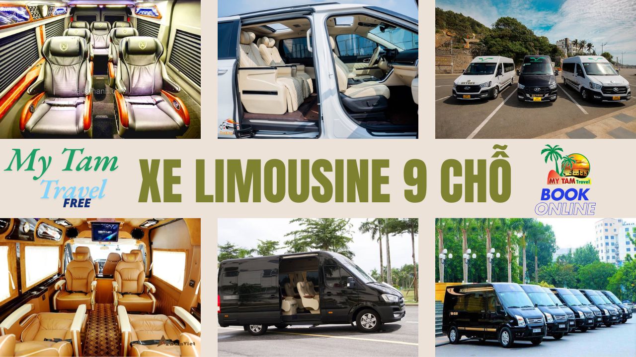 Car rental to My Tho City LIMOUSINE 7-9-11-18 SEATS