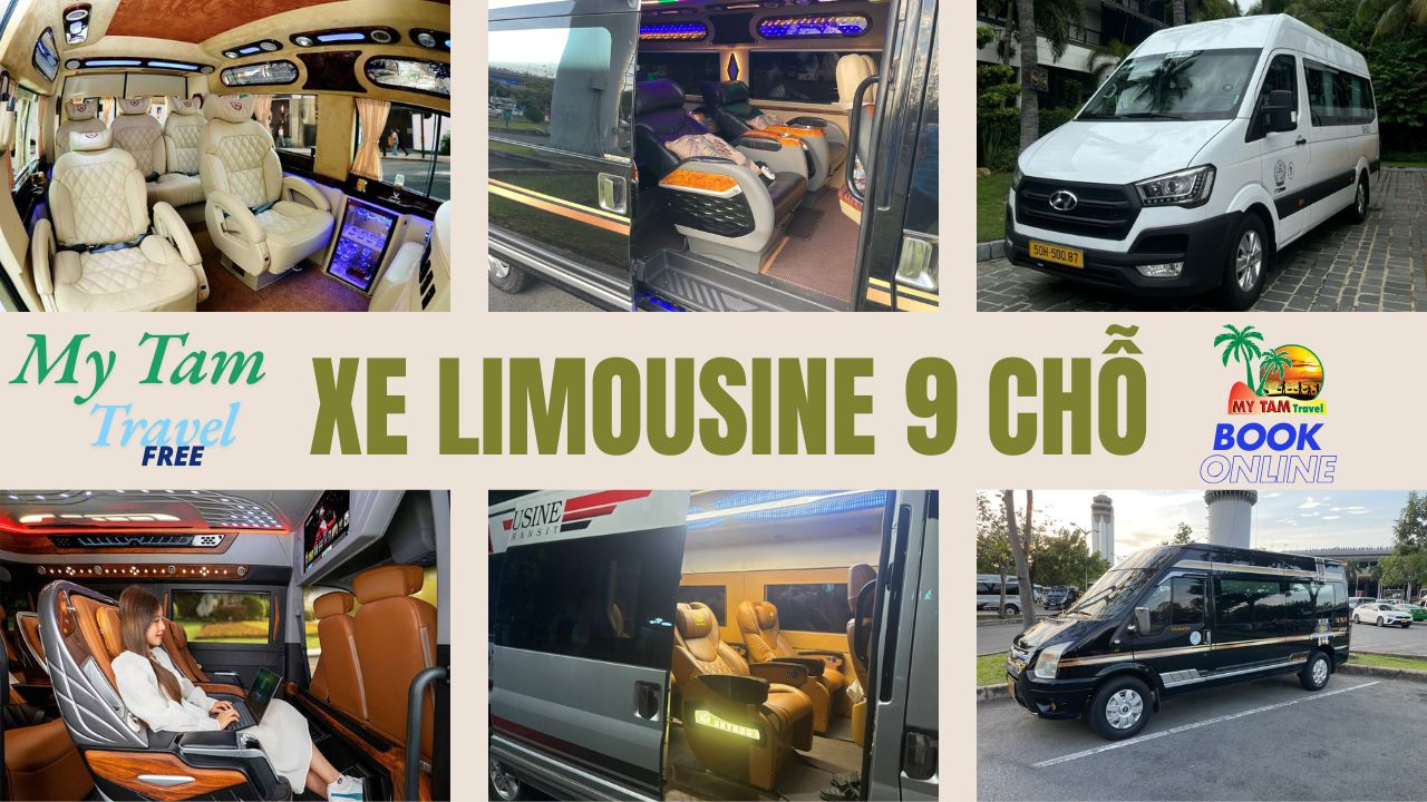 Car rental to Cai Lay Town 4-7-16-29-45-9-11-15C LIMOUSINE