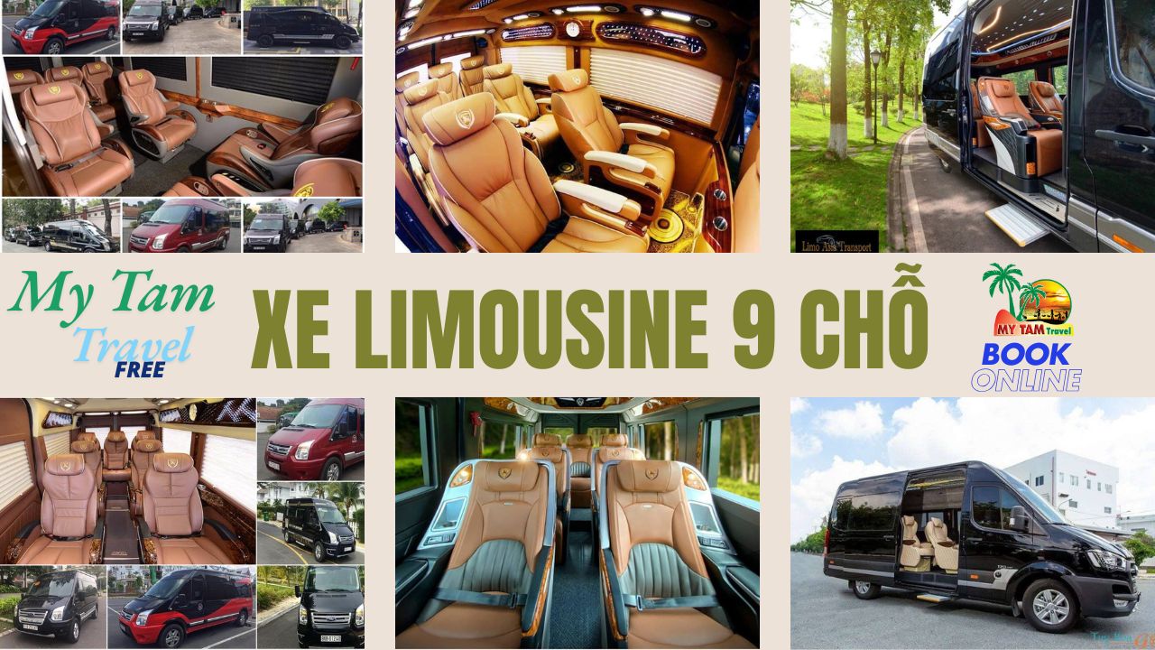 Car rental to Cai Be District 4-7-16-29-45-9-11-15-18 LIMOUSINE