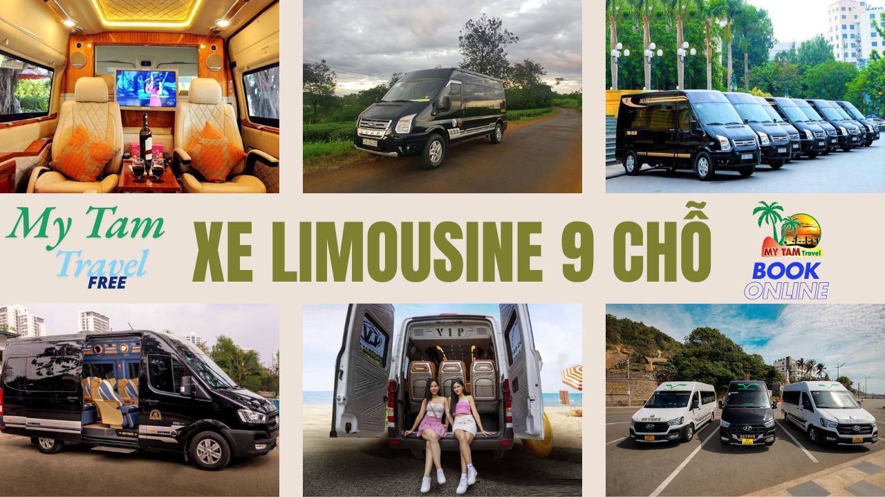 Car rental to Go Cong Tay District 4-7-16-29-45-9-11-15-18C LIMOUSINE