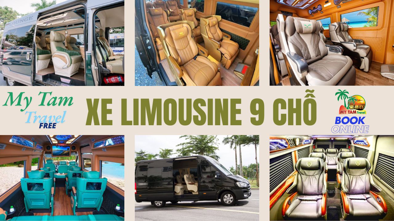 Car rental Saigon Tien Giang 4-7-16-9-11-15-18C LIMOUSINE