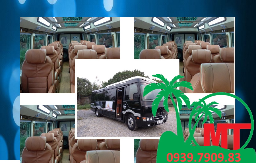 Xe Limousine Haeco 18 Chỗ