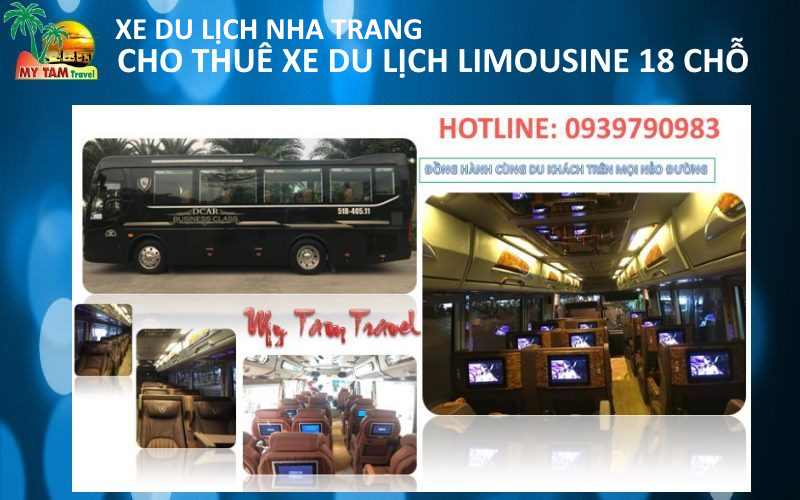 18 seat Limousine