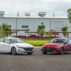 Thuê Xe 4 Chỗ Hyundai Elantra