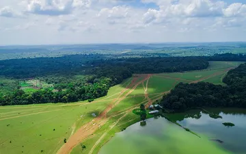 Thuê xe Sài Gòn đi Trảng Cỏ Bù Lạch