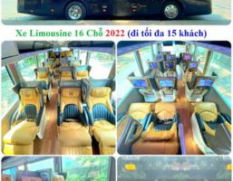 Car rental from Ho Chi Minh to Pleiku