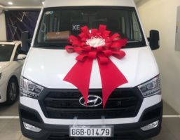 Car rental from Ho Chi Minh to Pleiku