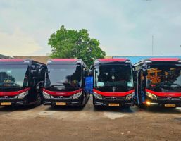 Car rental from Ho Chi Minh to Pleiku