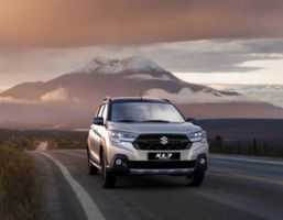 Car rental from Ho Chi Minh to Pleiku