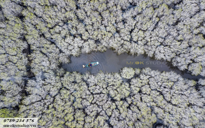 Bàu Cá Cái trở thành địa điểm chụp ảnh cưới lạ, độc và đẹp vào mùa thu cho các bạn trẻ Bàu Cá Cái trở thành địa điểm chụp ảnh cưới lạ, độc và đẹp vào mùa thu cho các bạn trẻ