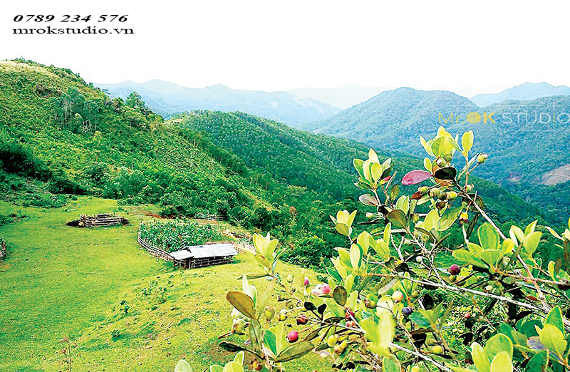 Thảo nguyên Bùi Hui chính là nơi giúp các cặp đôi có được chuyến du lịch thú vị và bộ ảnh cưới trọn vẹn vẻ đẹp ngoại cảnh Thảo nguyên Bùi Hui chính là nơi giúp các cặp đôi có được chuyến du lịch thú vị và bộ ảnh cưới trọn vẹn vẻ đẹp ngoại cảnh