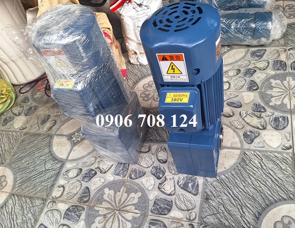 Motor cốt ngang có thắng cho cầu trục