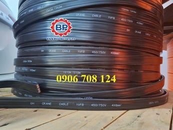 Cáp dẹt cầu trục 4C x 6 mm Chính hãng